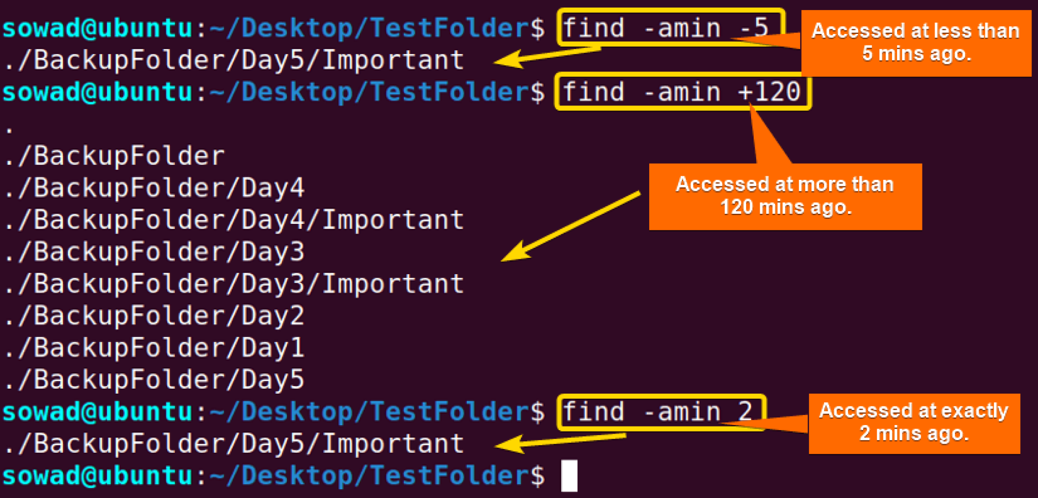 The Find Command In Linux 10 Practical Examples