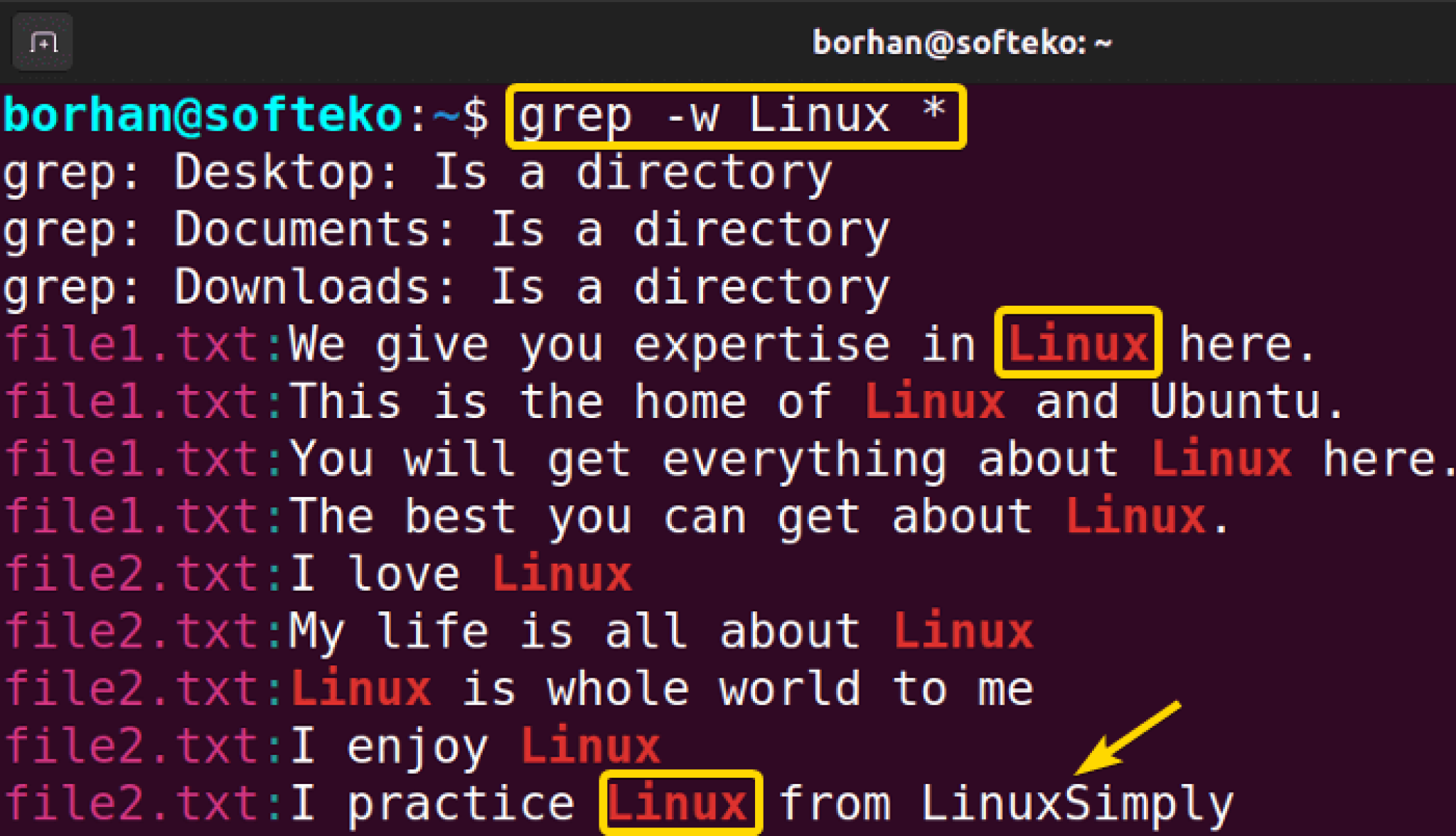 The Grep Command In Linux Practical Examples