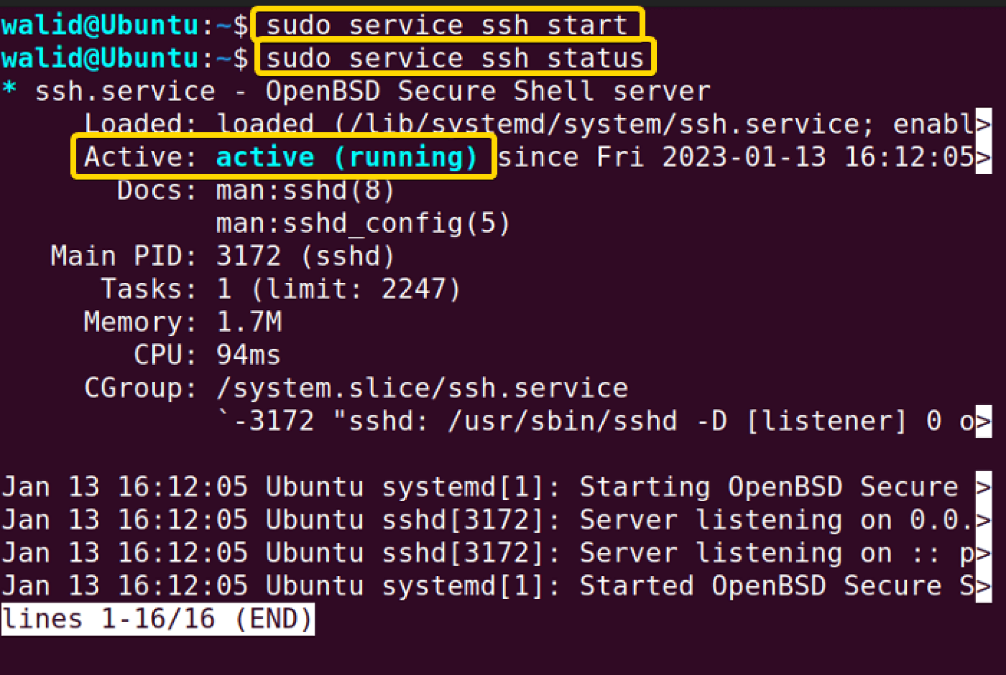 The Ssh Command In Linux Practical Examples