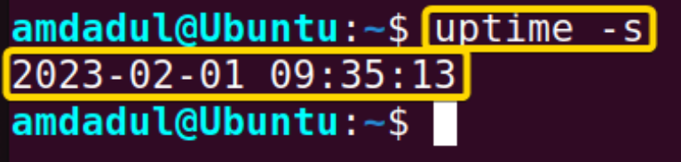 The Uptime Command In Linux 5 Practical Examples