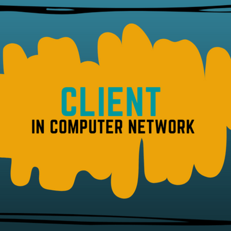 Clients in Computer Network