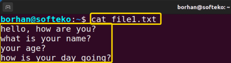 The “cat” Command in Linux [10 Practical Examples]