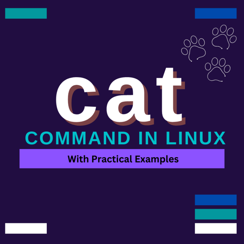 The "cat" Command in Linux
