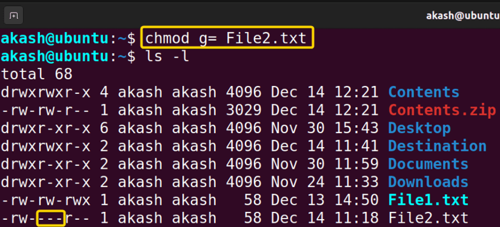 the-chmod-command-in-linux-6-practical-examples