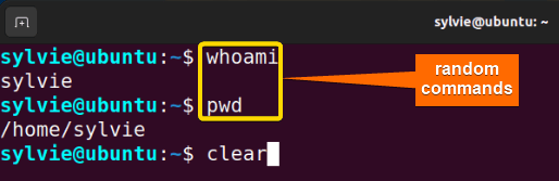 Typing the clear command in linux Terminal