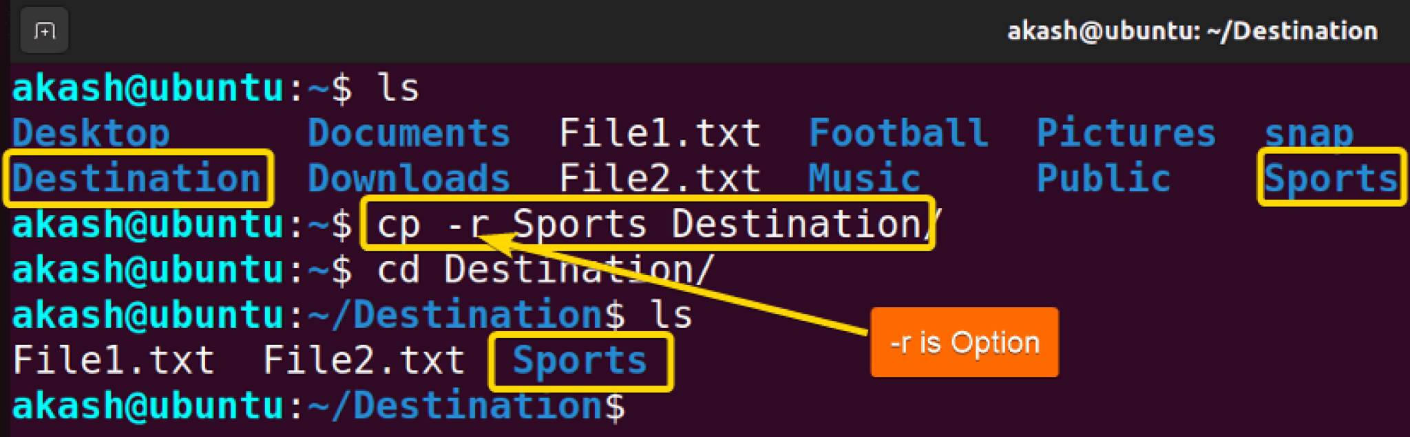 The “cp” Command in Linux [6 Practical Examples]