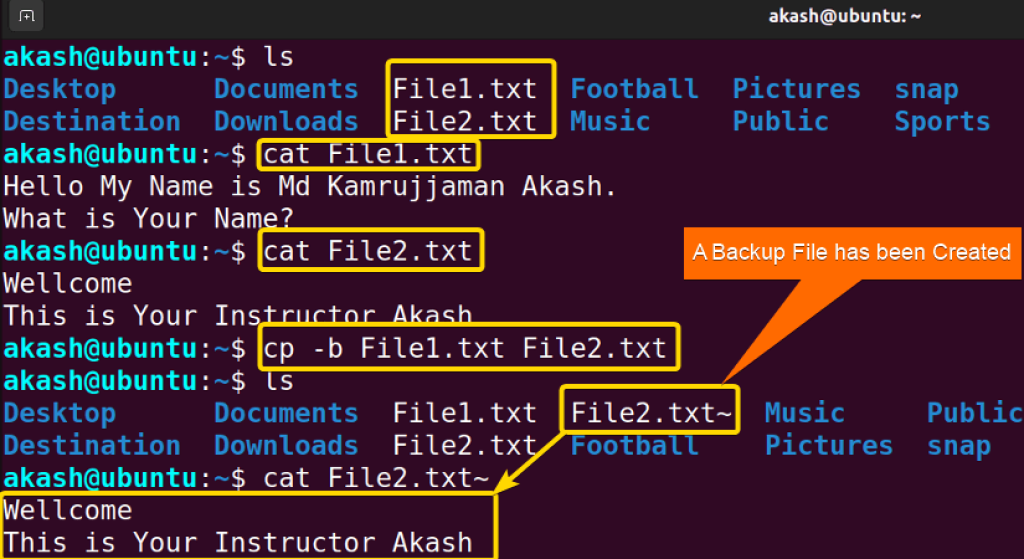 The “cp” Command In Linux [6 Practical Examples]