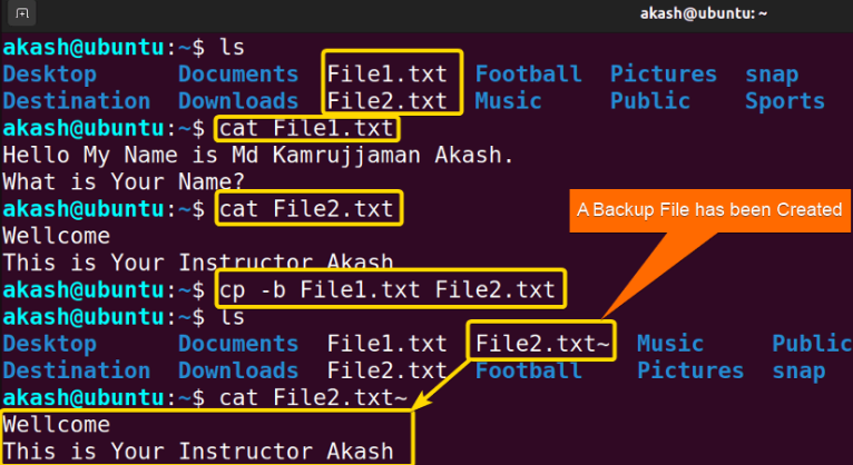 The “cp” Command in Linux [6 Practical Examples]