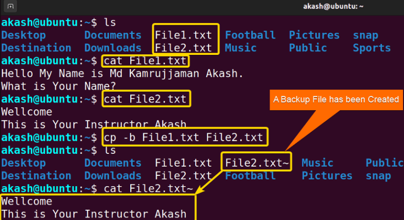 The “cp” Command in Linux [6 Practical Examples]