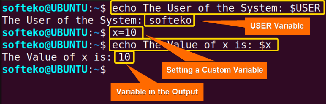 the-echo-command-in-linux-7-practical-examples