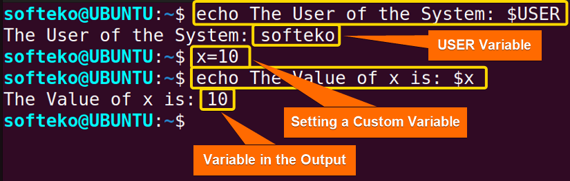 Showing text with variables