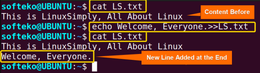 The “echo” Command In Linux [7 Practical Examples]