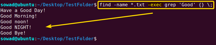Searching for a pattern using the find command in Linux.