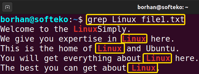 Search Inside a File Using the “grep” Command in Linux