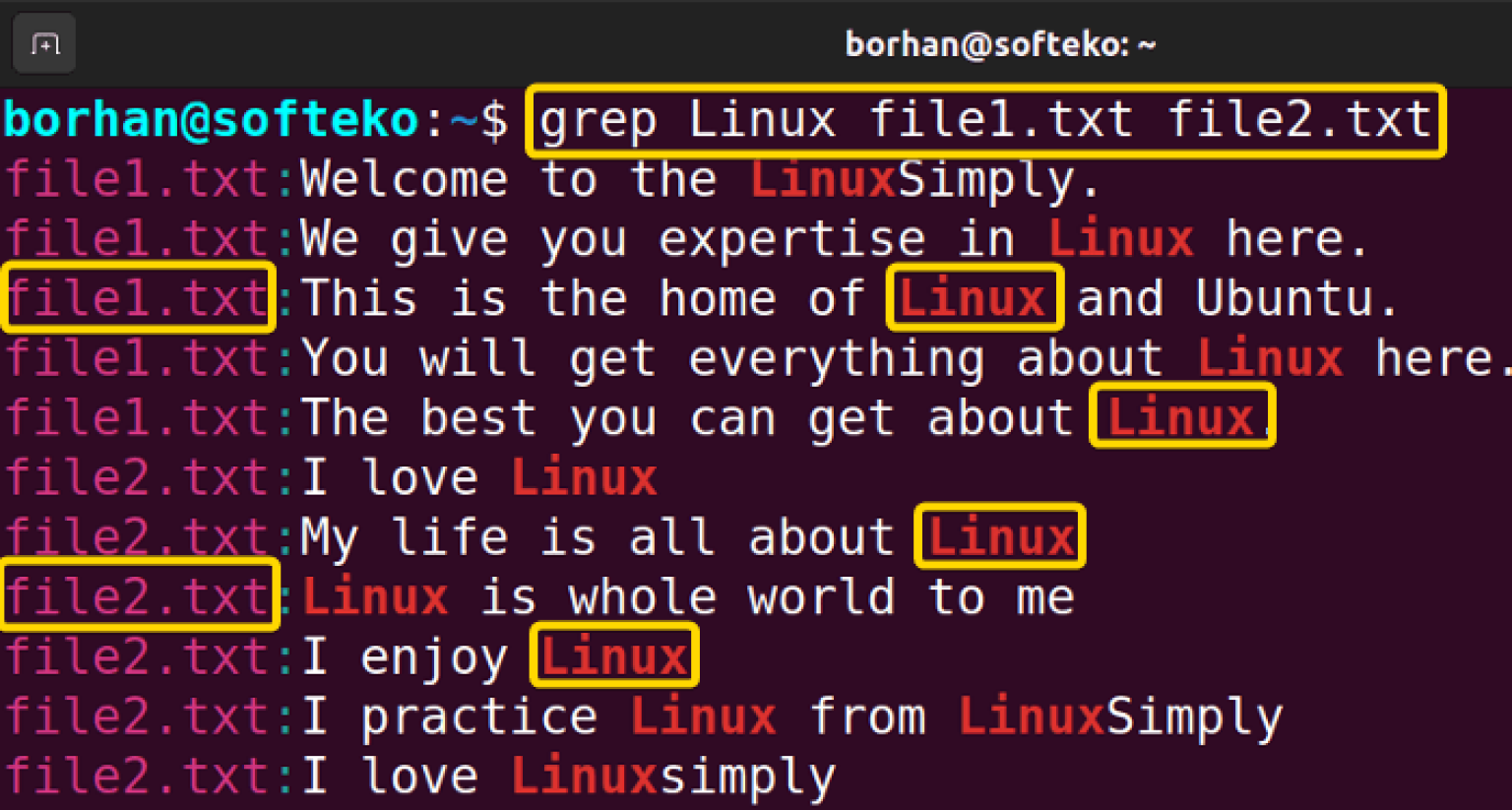 The “grep” Command In Linux [10+ Practical Examples]