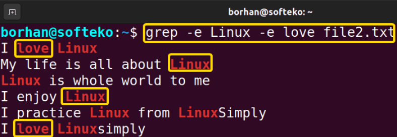 The “grep” Command in Linux [10+ Practical Examples]