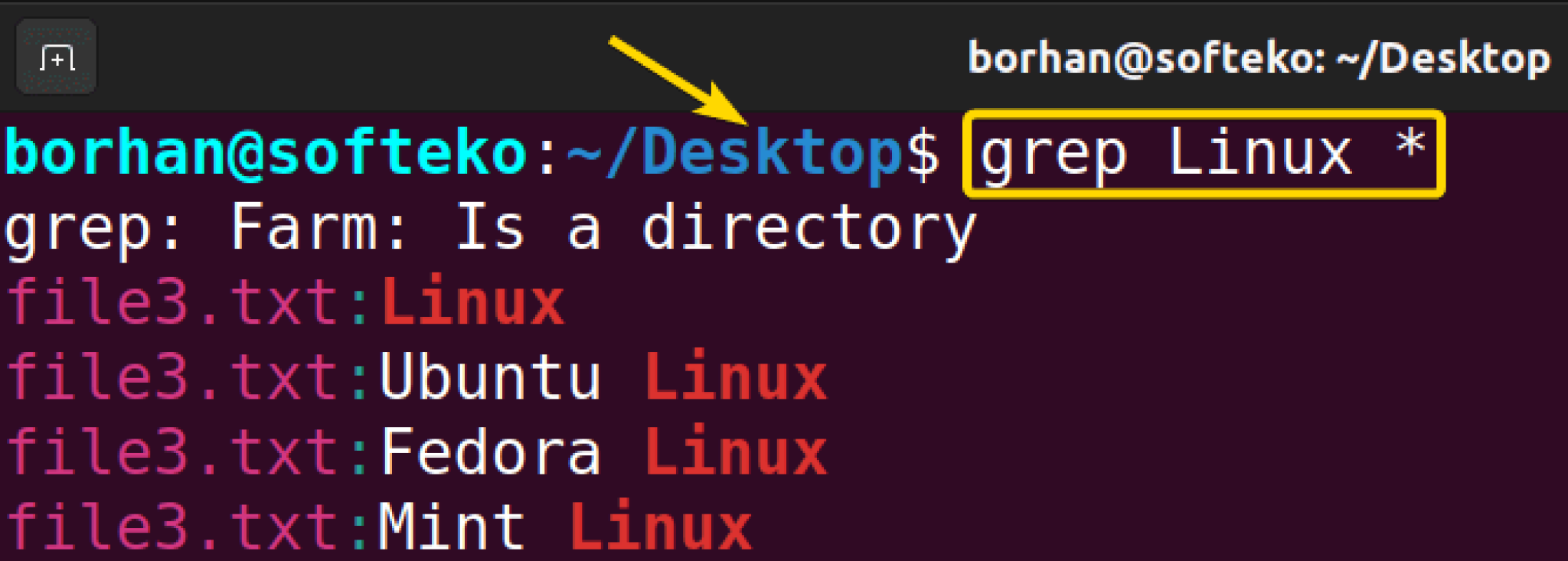 The “grep” Command In Linux [10+ Practical Examples]