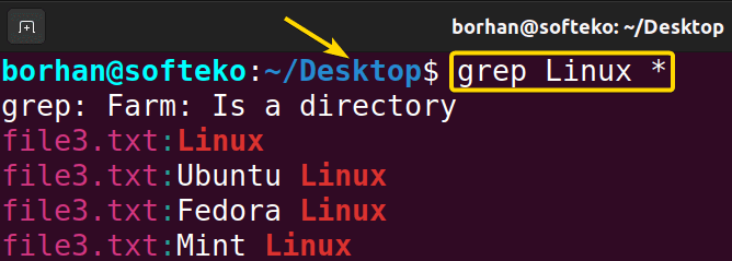 Search All Files Inside a Directory