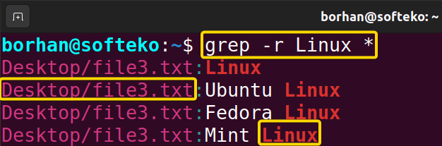 Searching Inside Sub-directories Using the “grep” Command in Linux