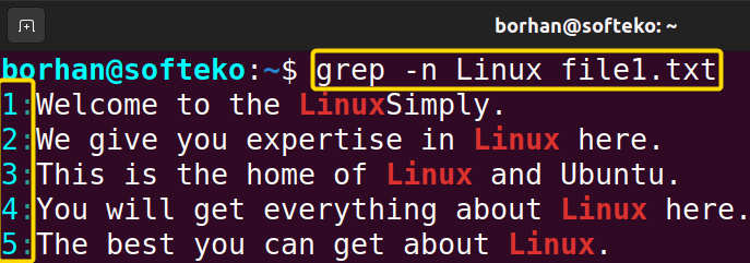 Display Line Numbers Using the “grep” Command in Linux