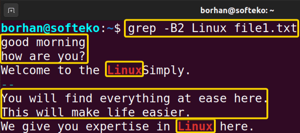 The “grep” Command In Linux [10+ Practical Examples]