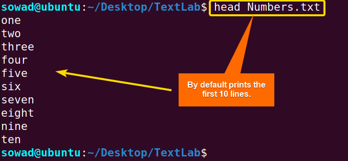 Printing the first 10 lines of a file using the head command in Linux.