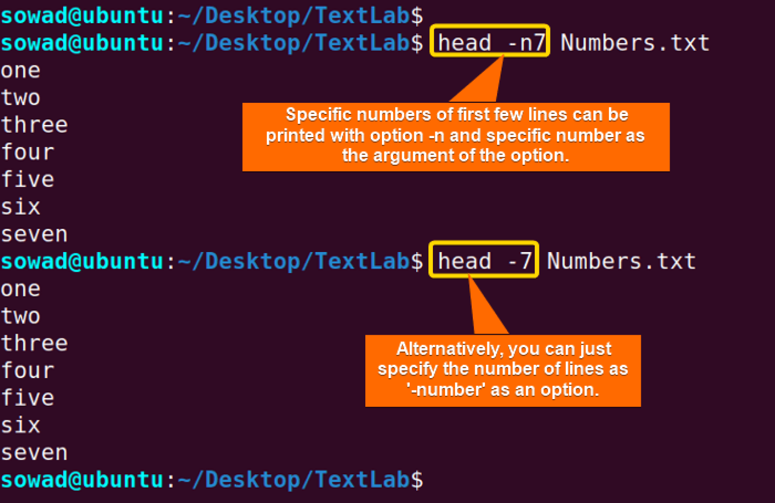 The “head” Command in Linux [7 Practical Examples] - LinuxSimply