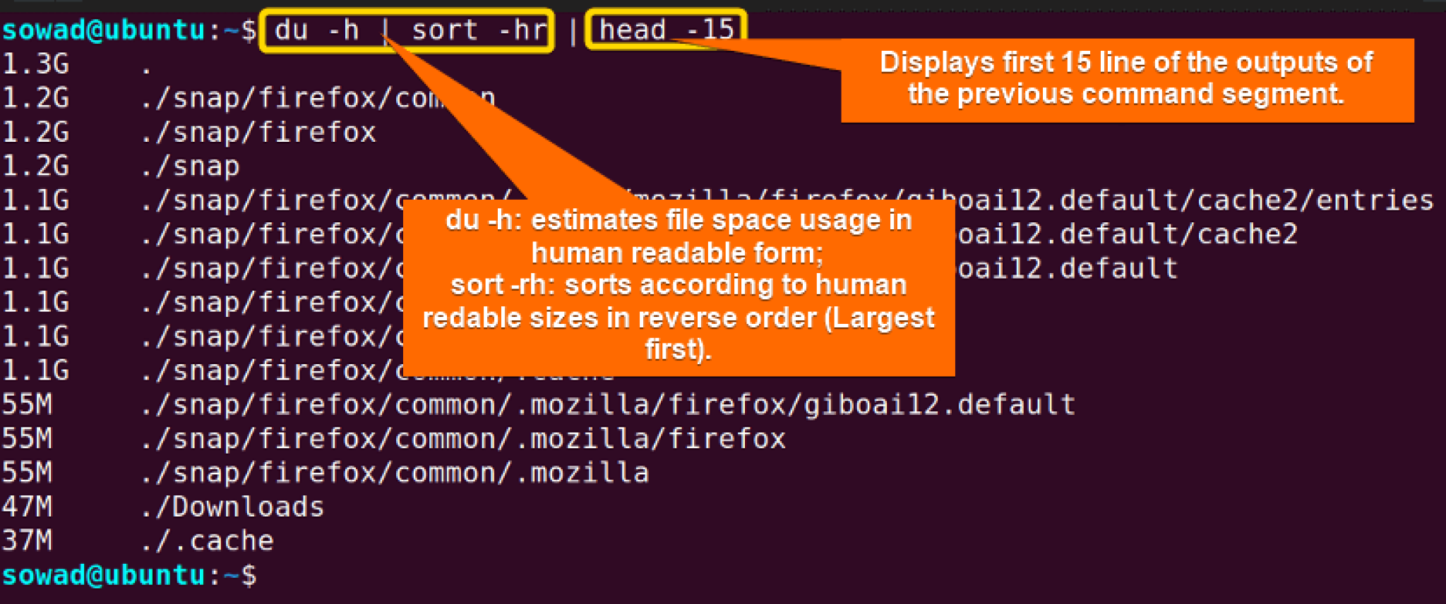 The “head” Command in Linux [7 Practical Examples] LinuxSimply