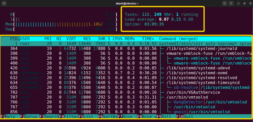 Using the htop command in linux