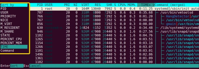 The “htop” Command in Linux [7 Practical Examples] - LinuxSimply