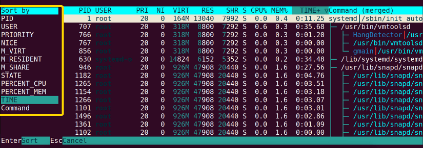 sorting using the htop command in linux