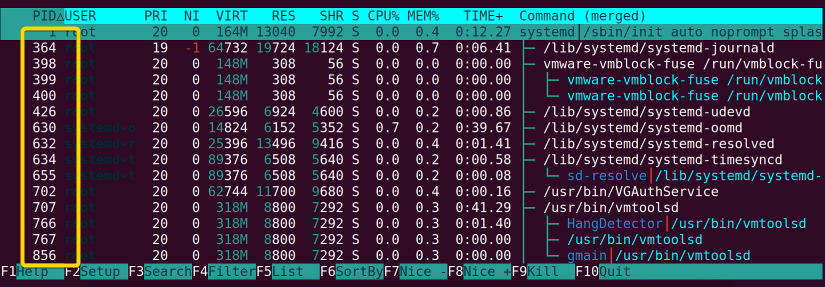 using htop command in linux for sorting
