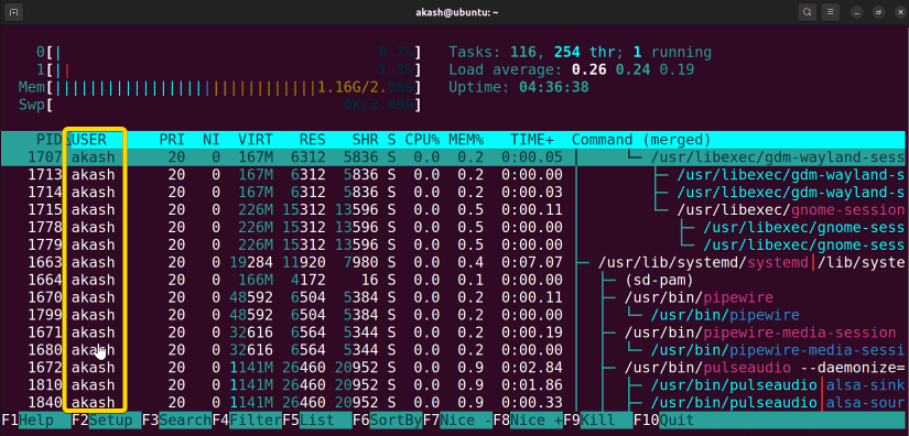 showing specific user list using the htop command in linux