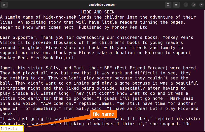 Open a Text File named file.txt With the “less” Command in Linux