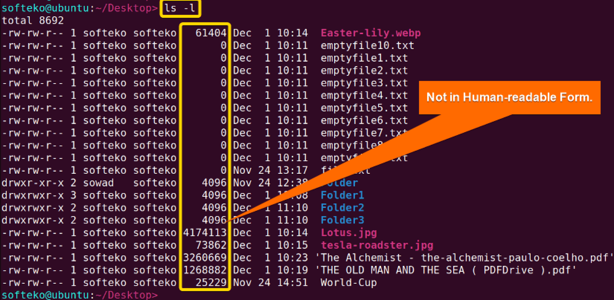 the-ls-command-in-linux-7-practical-examples-linuxsimply