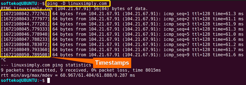 Showing Timestamps of every packet