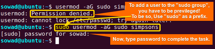 Adding the new user to the sudo group in Ubuntu.