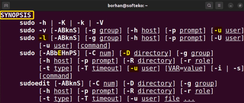 The “sudo” Command In Linux [8 Practical Examples] - LinuxSimply