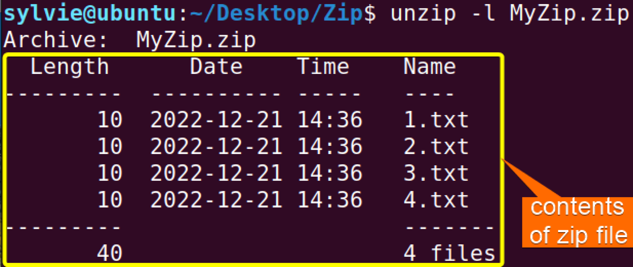 The “unzip” Command In Linux [7 Practical Examples]