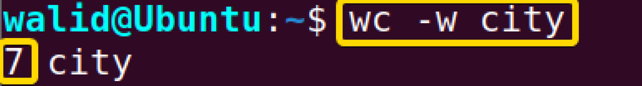 The wc Command In Linux 15 Practical Examples 