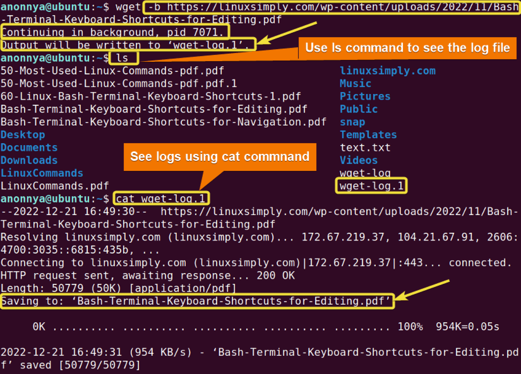 The “wget” Command In Linux [14 Practical Examples]