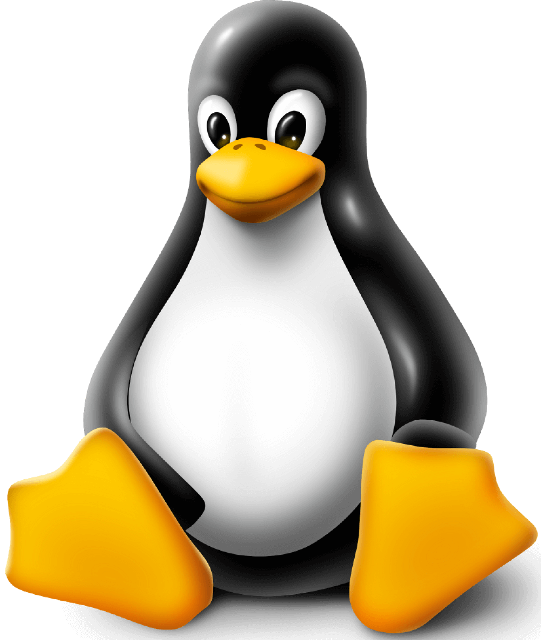 What is Distribution in Linux? [A Complete Overview] - LinuxSimply