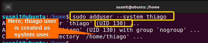 adduser command has created a user named thiago as system user.