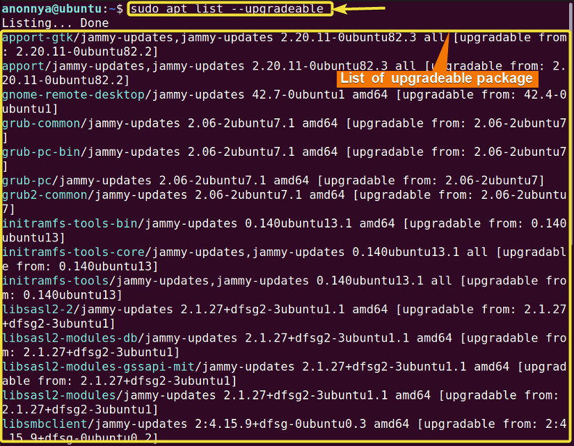 Listing all upgradeable packages using apt command in linux.