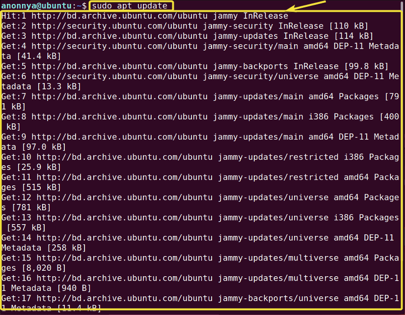 Downloading package information using apt command in linux.