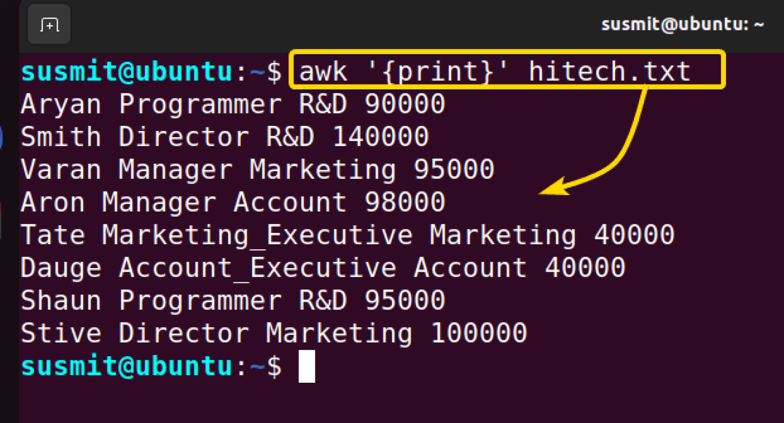 The “awk” Command In Linux [11+ Practical Examples]