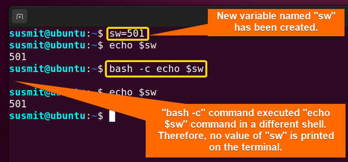 the sw variable only exists in the current shell, that is why you'll not see any output in the different shell.