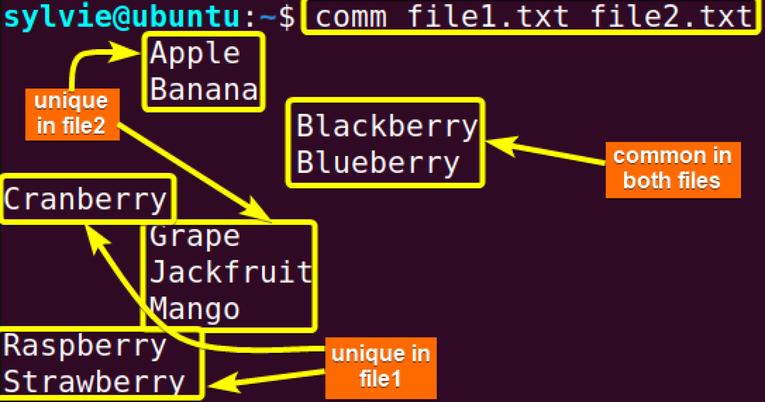 The “comm” Command in Linux [10 Practical Examples]