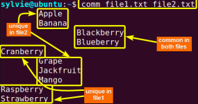 The “comm” Command in Linux [10 Practical Examples]