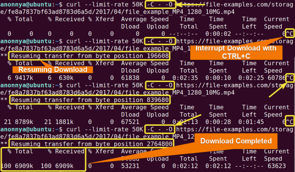 The “curl” Command In Linux [9 Practical Examples] - LinuxSimply